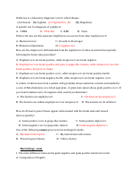 Best Exams .docx